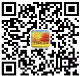 the qr code