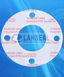 Expanded ptfe Gasket