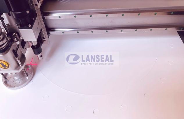 expanded ptfe gasket
